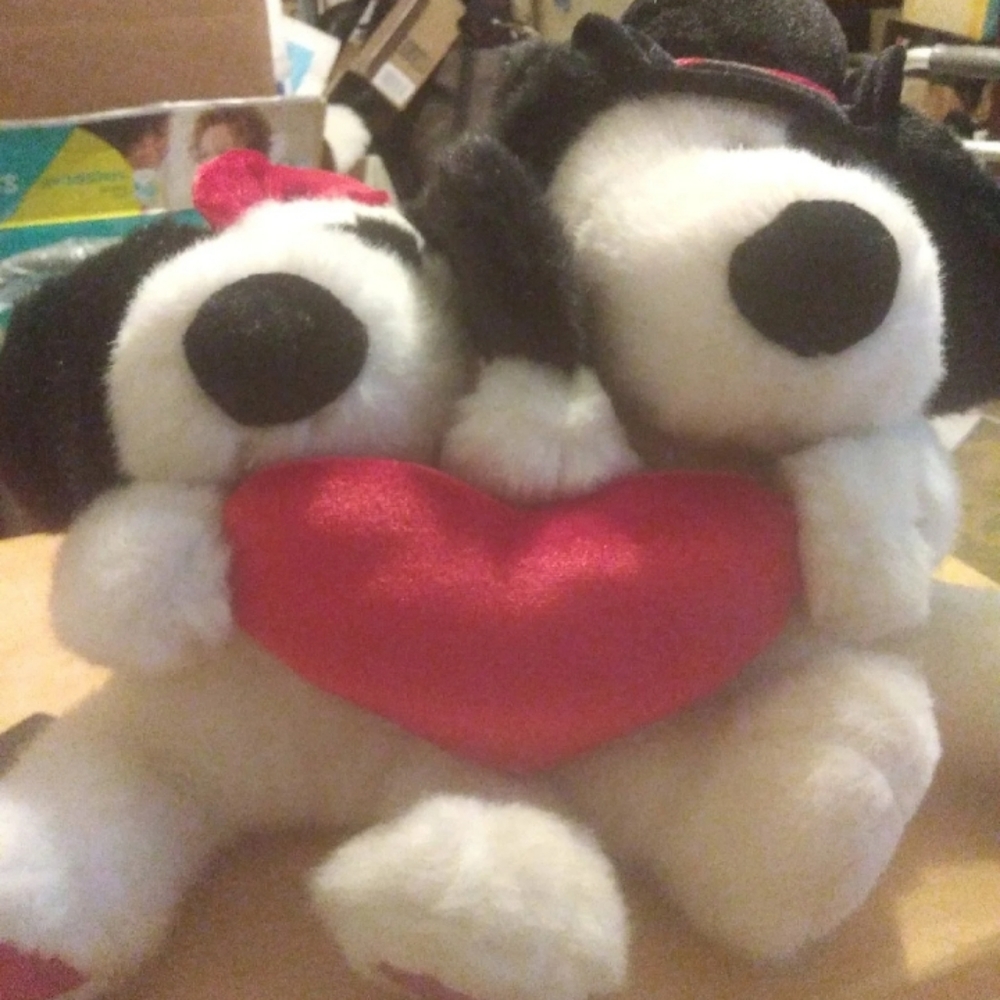 Two Music Valentine's dog